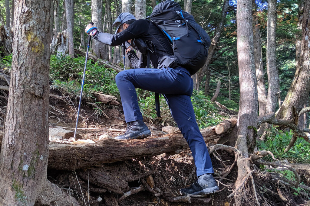 ガチの山好きが4年間試して、今でも使い続けているワークマンの山装備